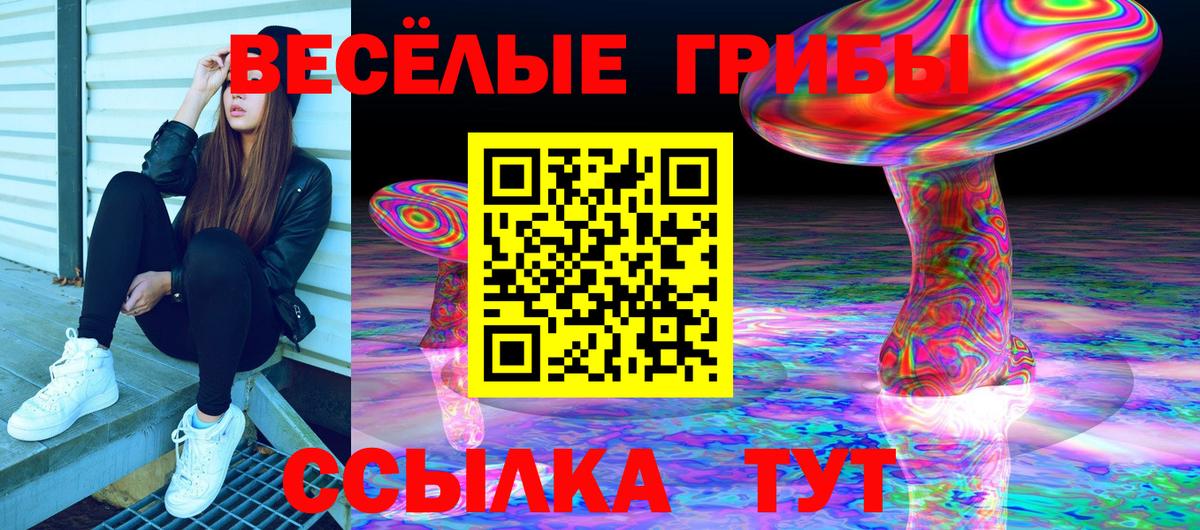 Галлюциногенные грибы Psilocybe  Вход с VPN  Керчь 